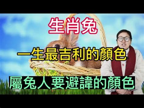 屬兔幸運顏色|盤點屬兔的永久幸運顏色，最大化發揮旺運效果